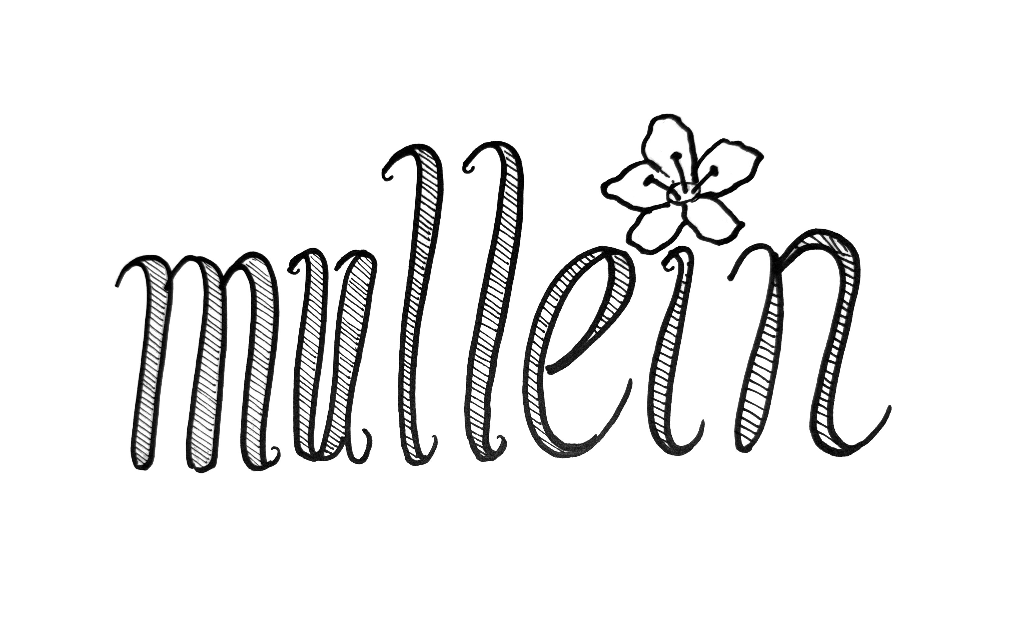 Mullein