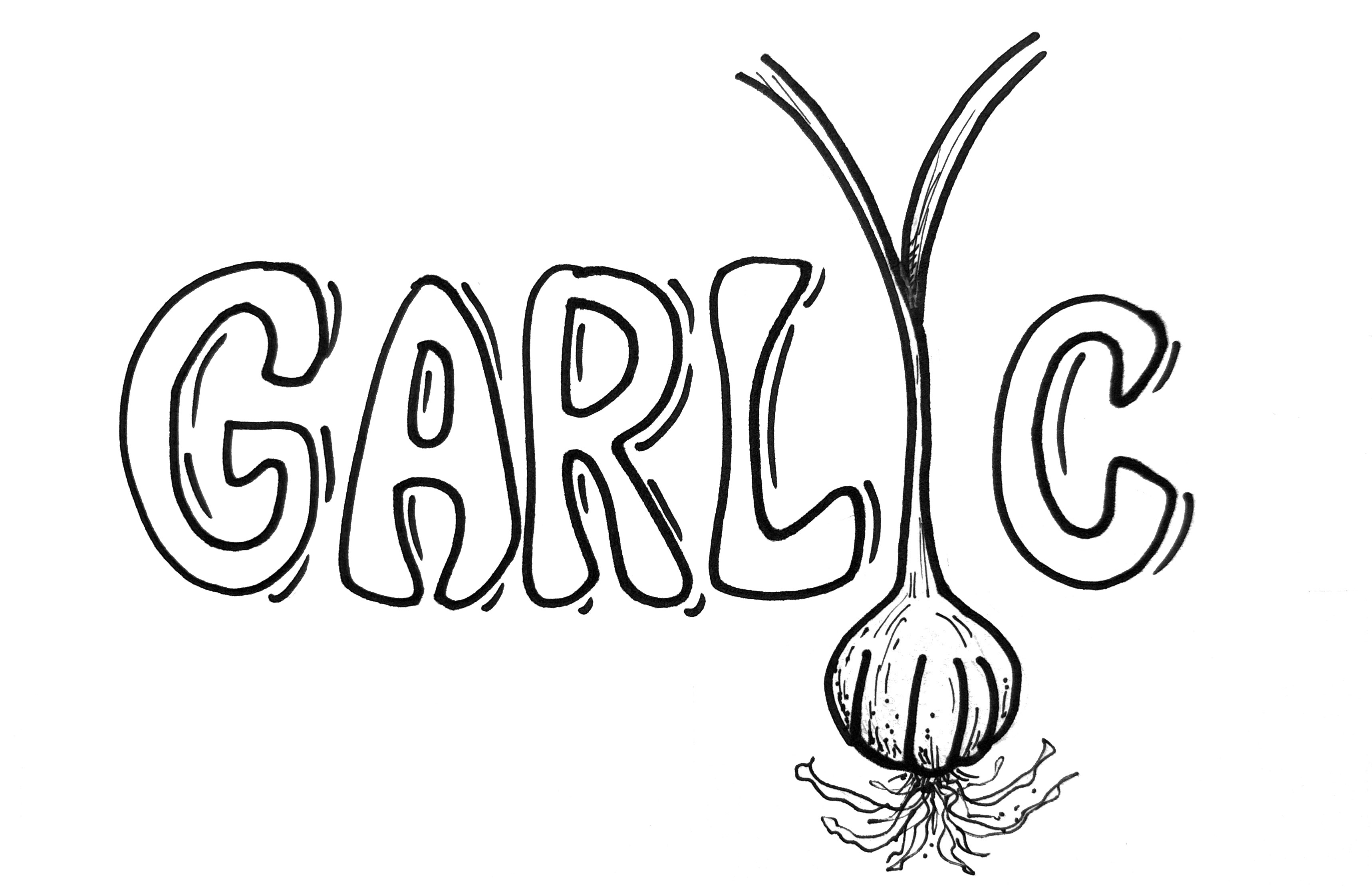 Garlic