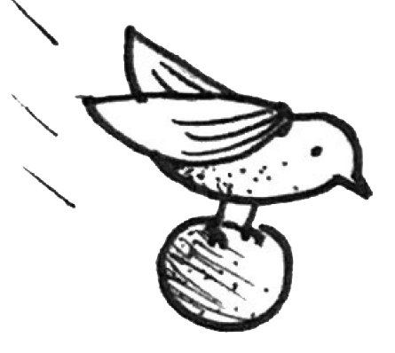 SEED Logo