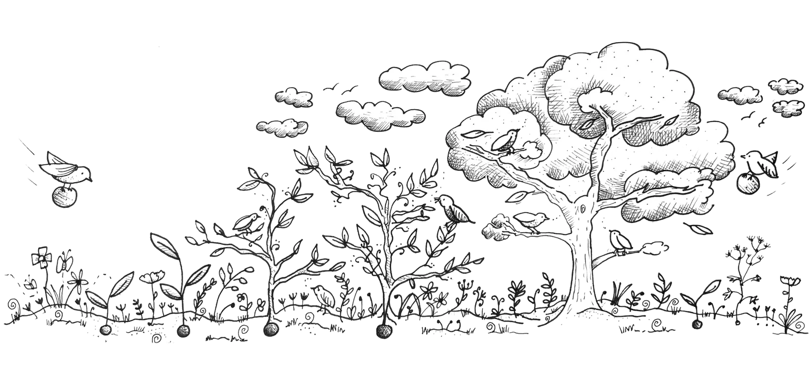 Botanical landscape illustration